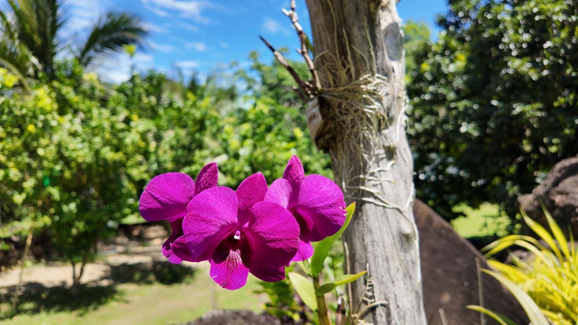 Tongatok Cliff Resort Mambajao Luaran gambar
