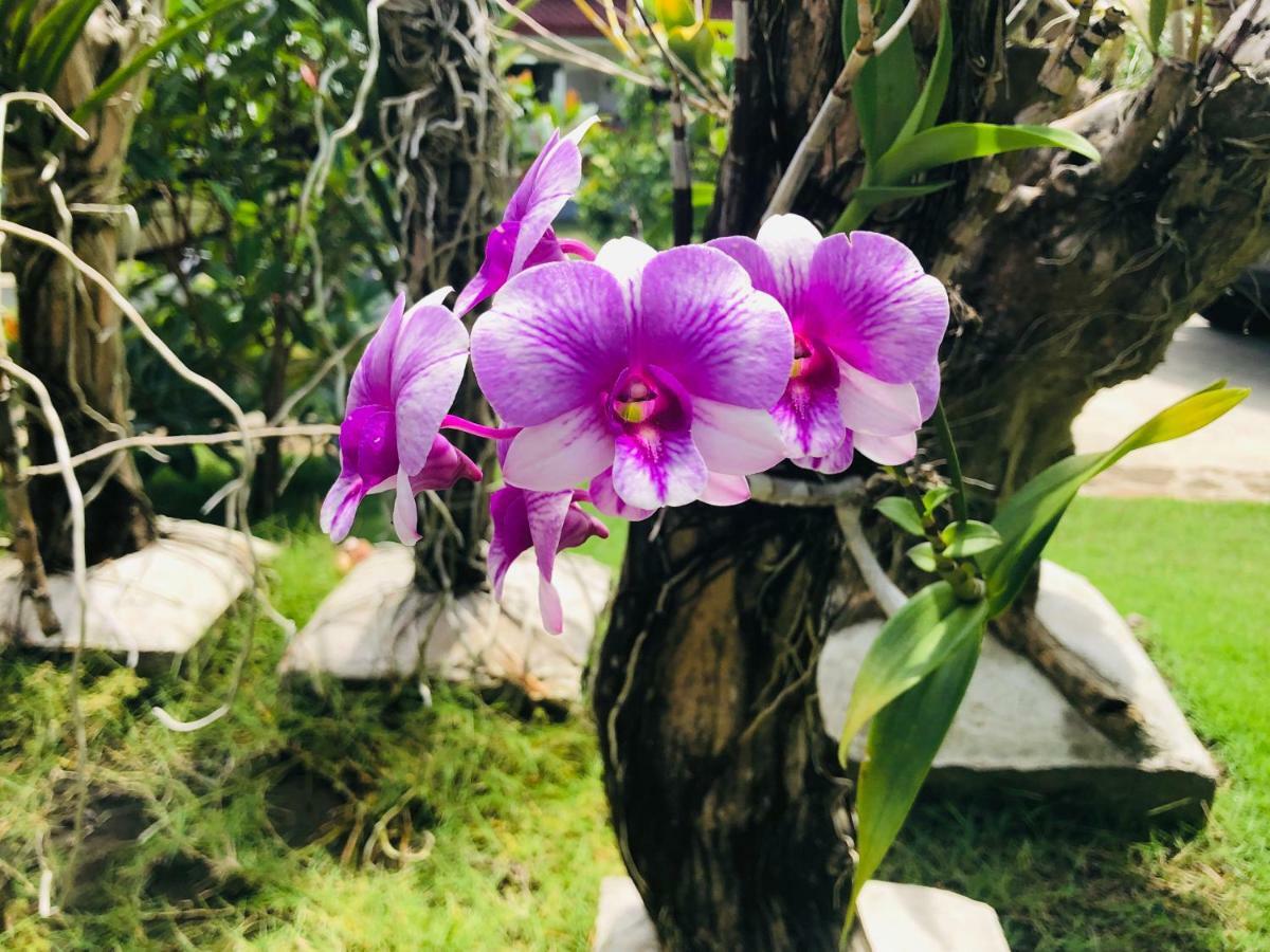 Tongatok Cliff Resort Mambajao Luaran gambar